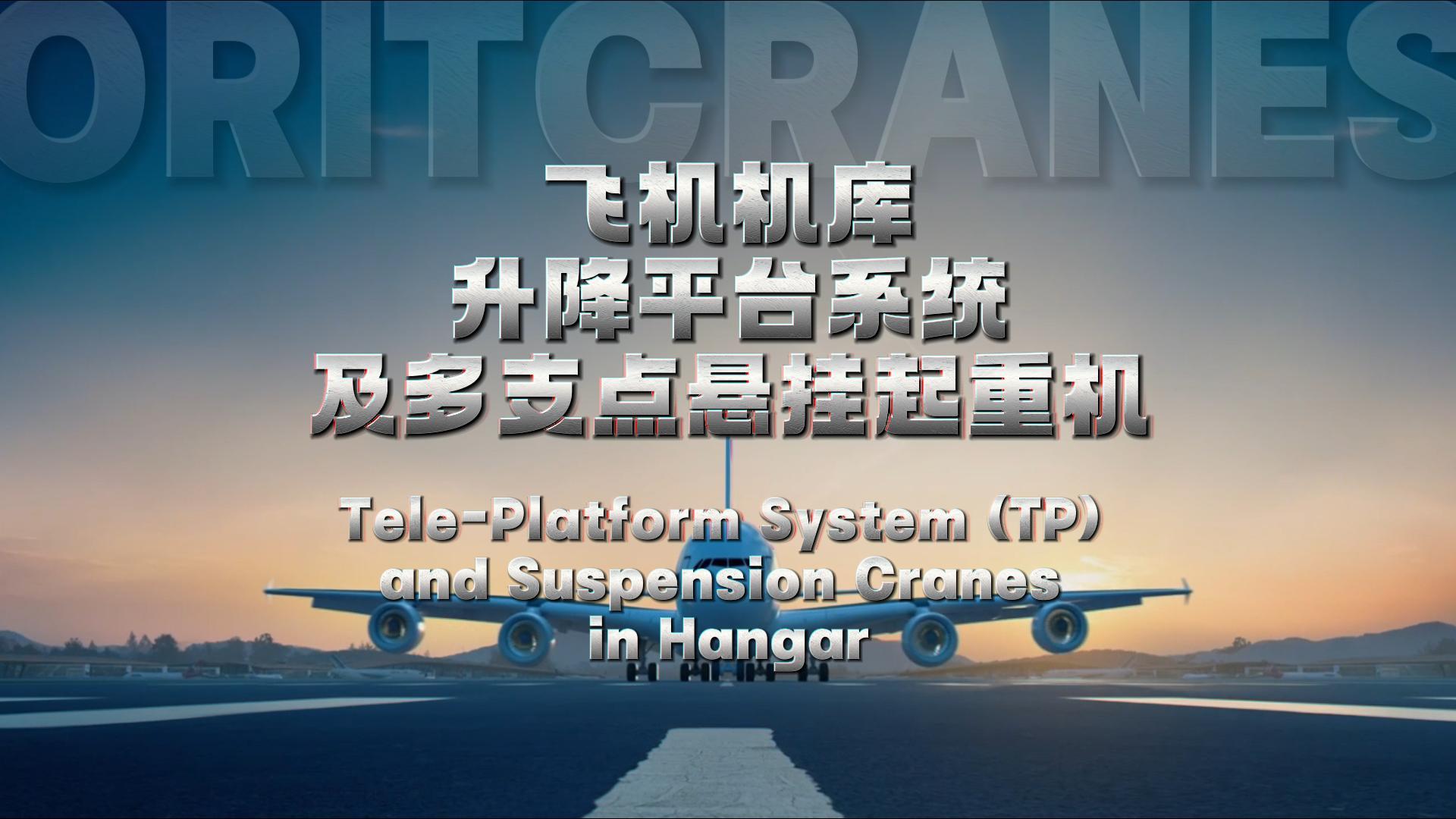 米兰(中国)官网航空起重机及升降平台TP